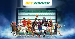 Everything You Need to Know About Betwinner Sports Bet