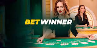 Explore Exciting Offers with Bonuses Betwinner